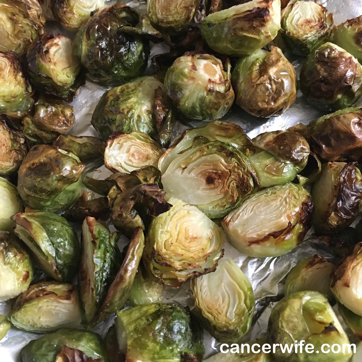 Nuwave Oven roasted brussel sprouts recipe